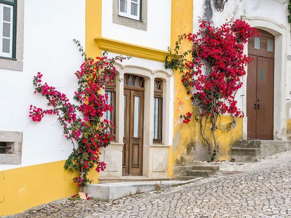 Eggers, Julie 아티스트의 Portugal-Obidos-Dark pink bougainvillea vine growing along side the entrance of a home in the walle작품입니다.